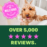 light green and green background, "Loved by millions" 5 star reviews.