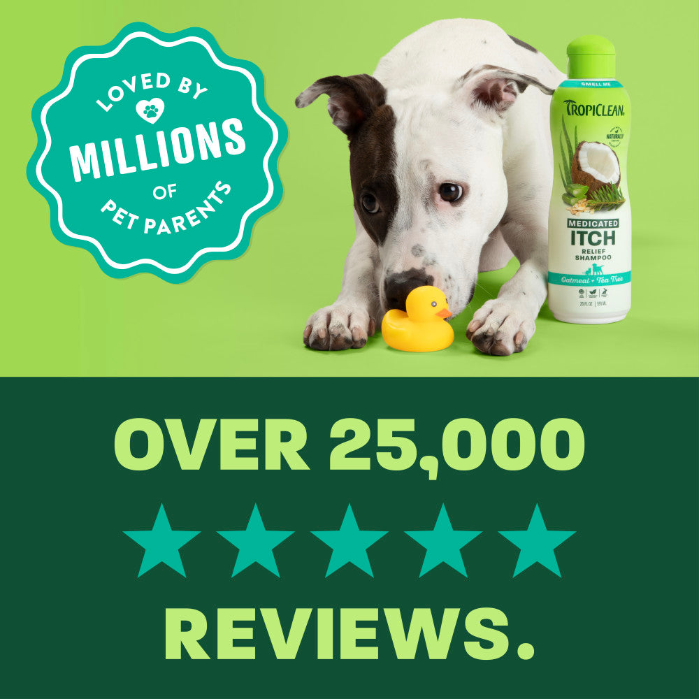 TropiClean Oatmeal & Tea Tree Medicated Itch Relief Shampoo for Pets