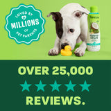TropiClean Oatmeal & Tea Tree Medicated Itch Relief Shampoo for Pets